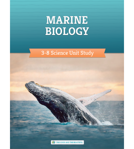 The Good and the Beautiful - Science - Marine Biology Grades 3-8 Study Unit stapled - FREE PDF