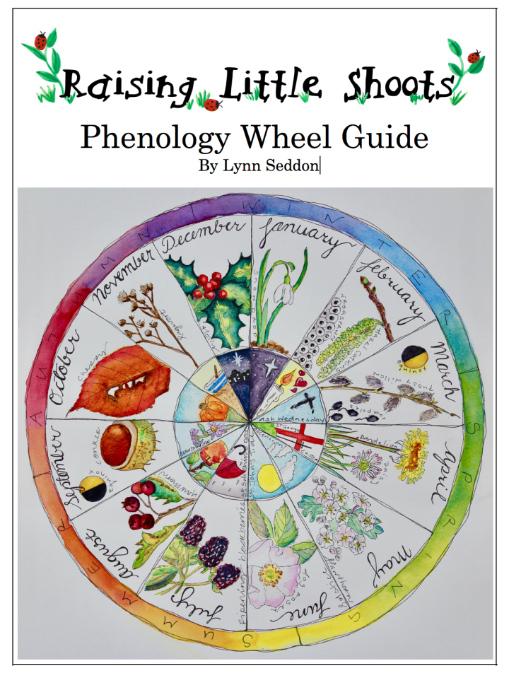 Phenology Wheel - PDF MUST BE PURCHASED FROM RAISING LITTLE SHOOTS