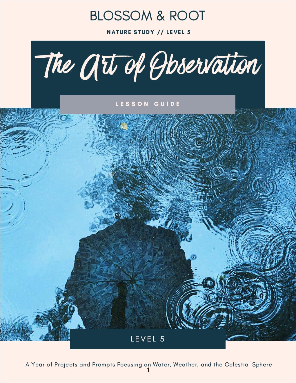 Blossom and Root - Nature Study Level 5 - The Art of Observation - Parent Guide  -  PDF MUST BE PURCHASED FROM BLOSSOM AND ROOT